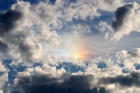 世界拳击公开赛：战术视频分析提升回合应对能力，2021年世界拳击比赛
